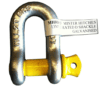 13mm Rated D Shackle (2T)