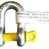 10mm Rated D Shackle (1T)